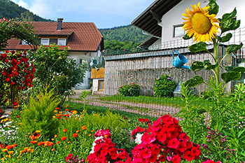 Natur pur genießen