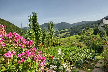 Sommer auf dem Bernhardenhof