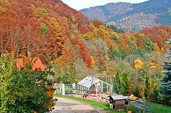 Herbst auf dem Bernhardenhof