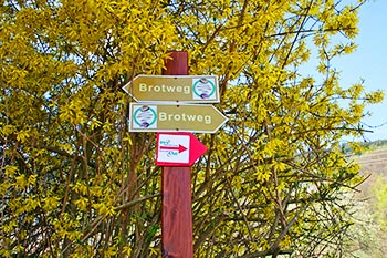 Wanderung auf dem Brotweg rund um Elzach-Yach