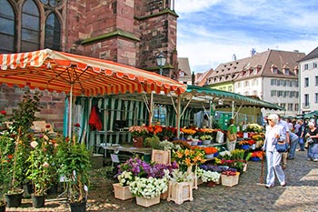 Wochenmarkt rund um das Freiburger Münster