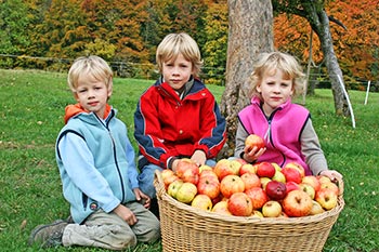 Herbst auf dem Bernhardenhof