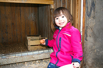 Frische Eier von glücklichen Hühnern